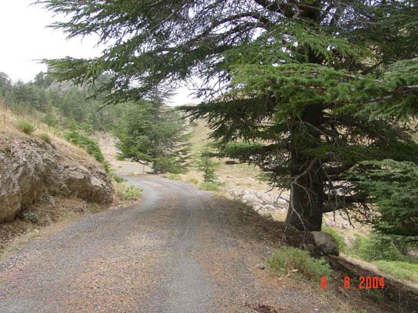 Cliquez ici pour voir les photos de Tikjda